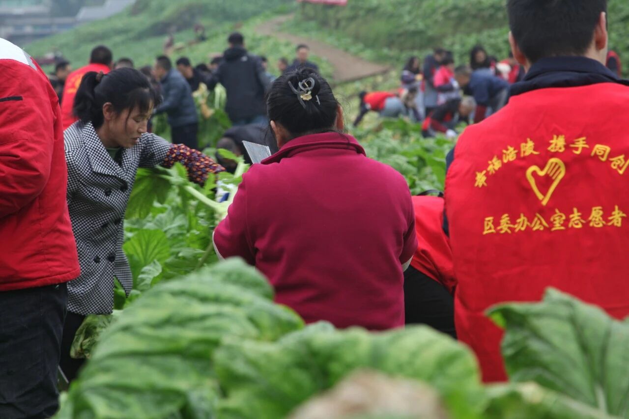 �ƶ�����3118(�й�)�ٷ���վ